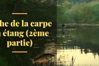 Pêche de la carpe Clearance