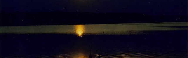 pêche de la carpe en lac