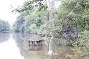 ça donne envie de rester, non ?