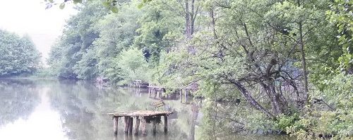 photo pêche dans les nénuphars