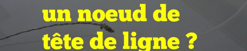 comment faire un noeud de tête de ligne