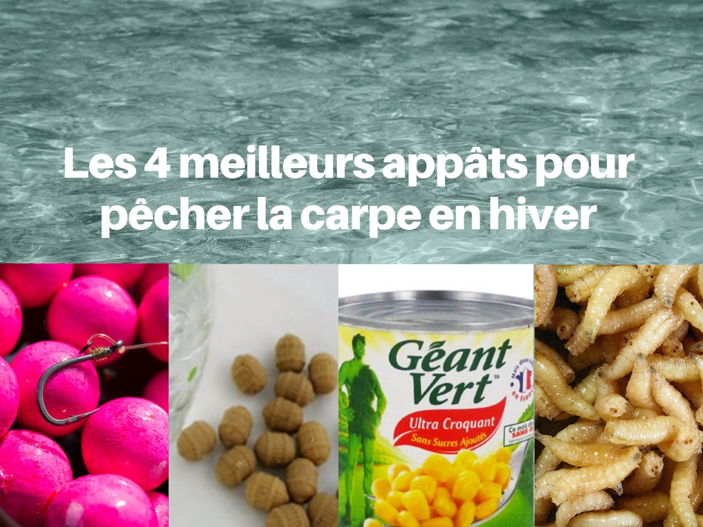 22 des meilleurs appâts musqués à lancer cette saison (édition 2022